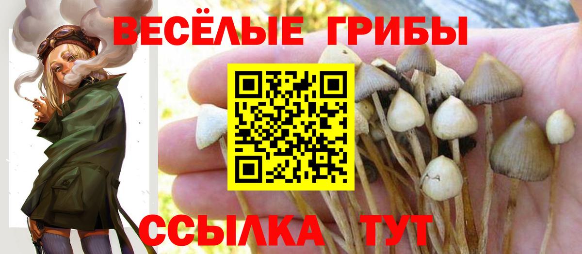 Псилоцибиновые грибы прущие грибы  Вход с VPN  Омск 